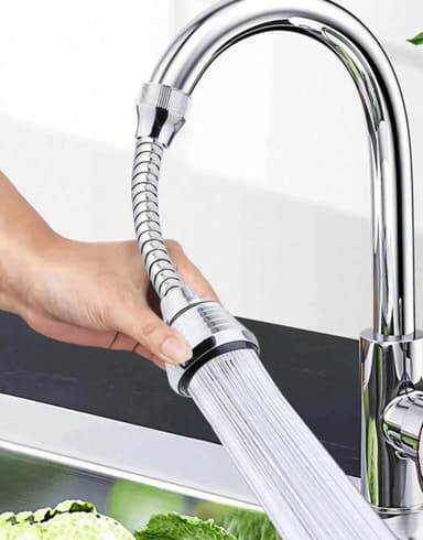 Grifo moderno