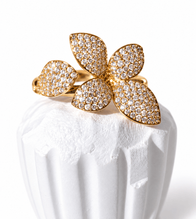 Anillo Shine 