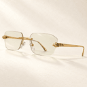 Gafas Panther 