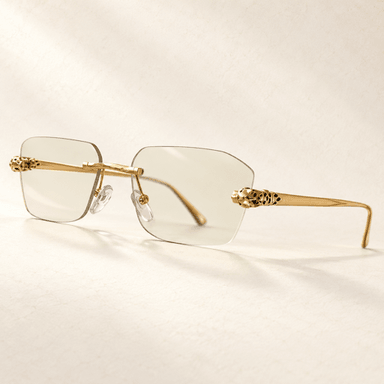 Gafas Panther 