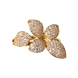 Anillo Shine