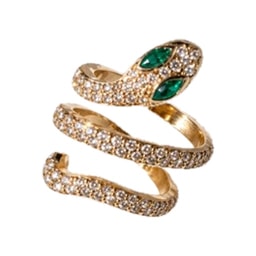 Anillo Serpiente