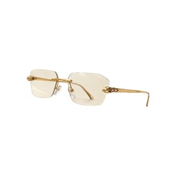 Gafas Panther