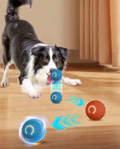 Pelota Interactiva Para Mascotas