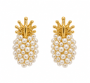 Aretes Trópica
