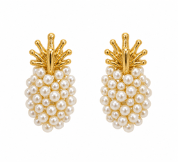 Aretes Trópica