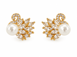 Aretes Odette Cisne
