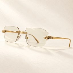 Gafas Panther